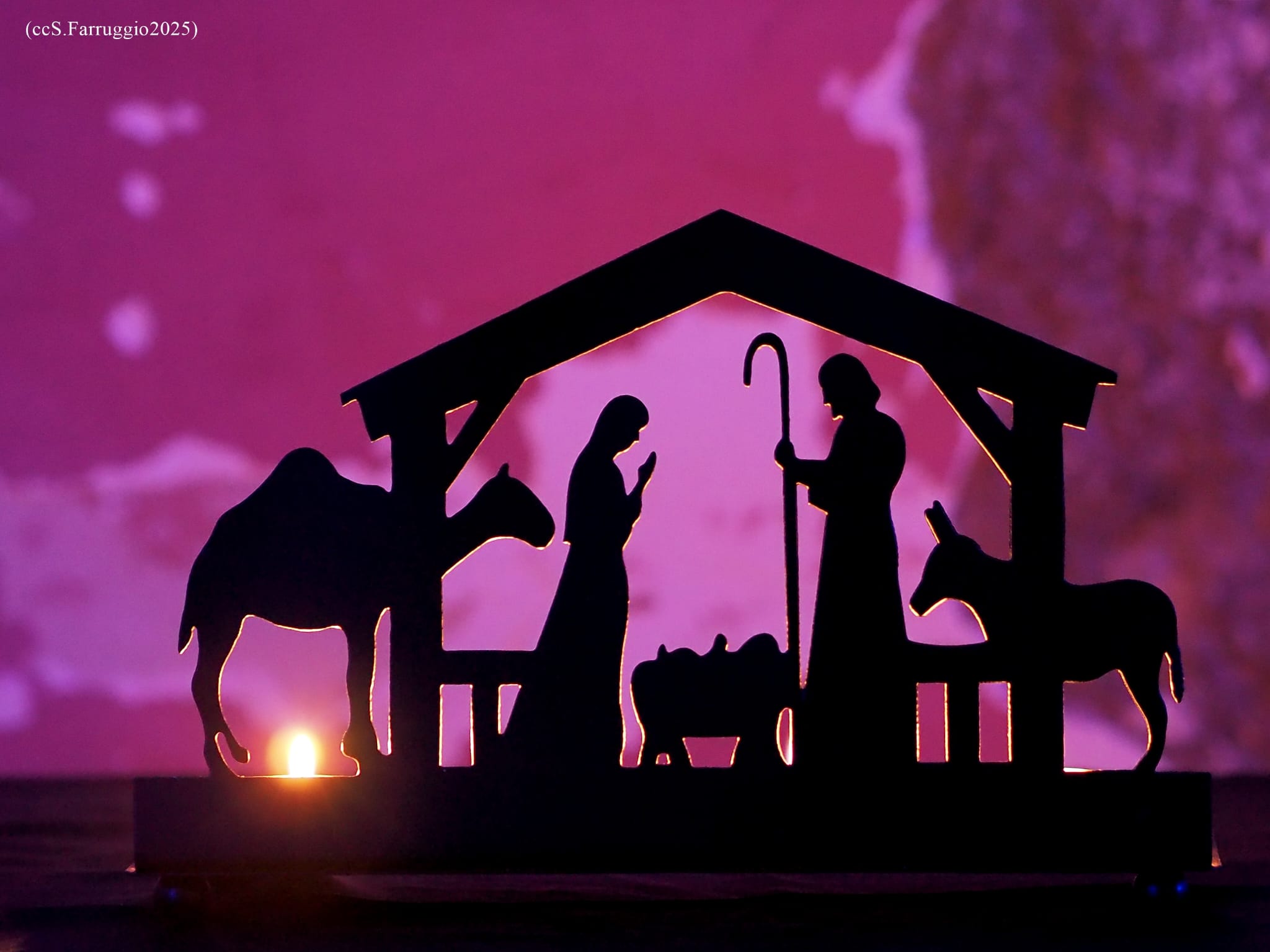 Buon Natale da tutti noi di Verinews. “Grazie di cuore per l’affetto che ci state dimostrando”