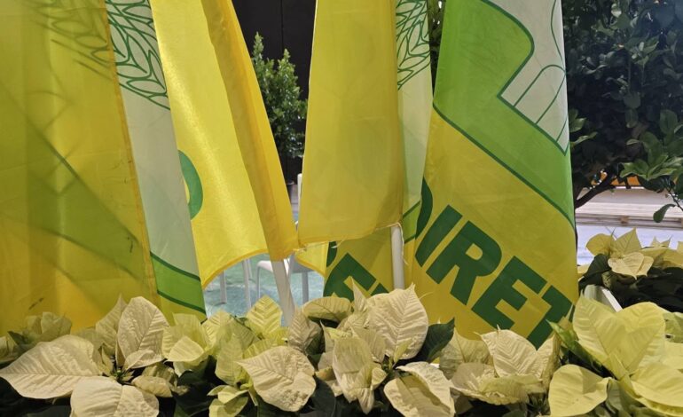 Agricoltura, sit-in di Coldiretti a Palazzo dei Normanni