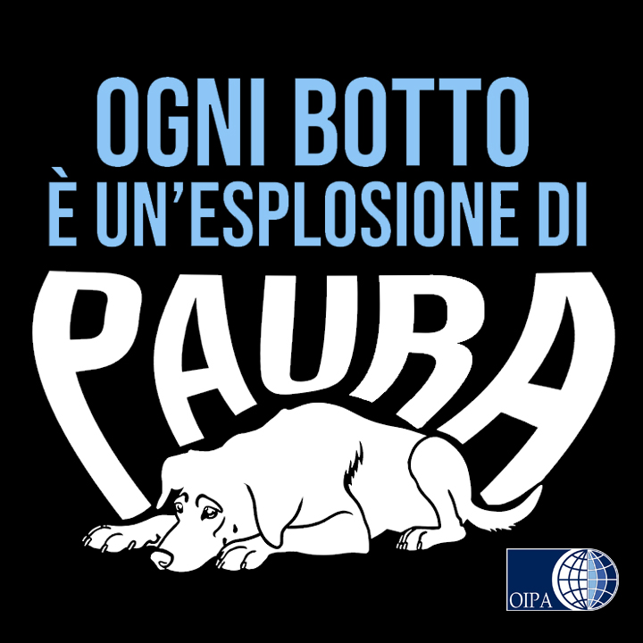 Botti di Capodanno, come proteggere gli animali. I consigli dell’Oipa