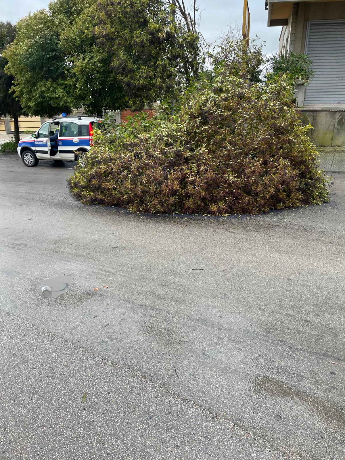 Ciclone Harry, a Caltanissetta oltre 30 interventi dei Vigili del Fuoco