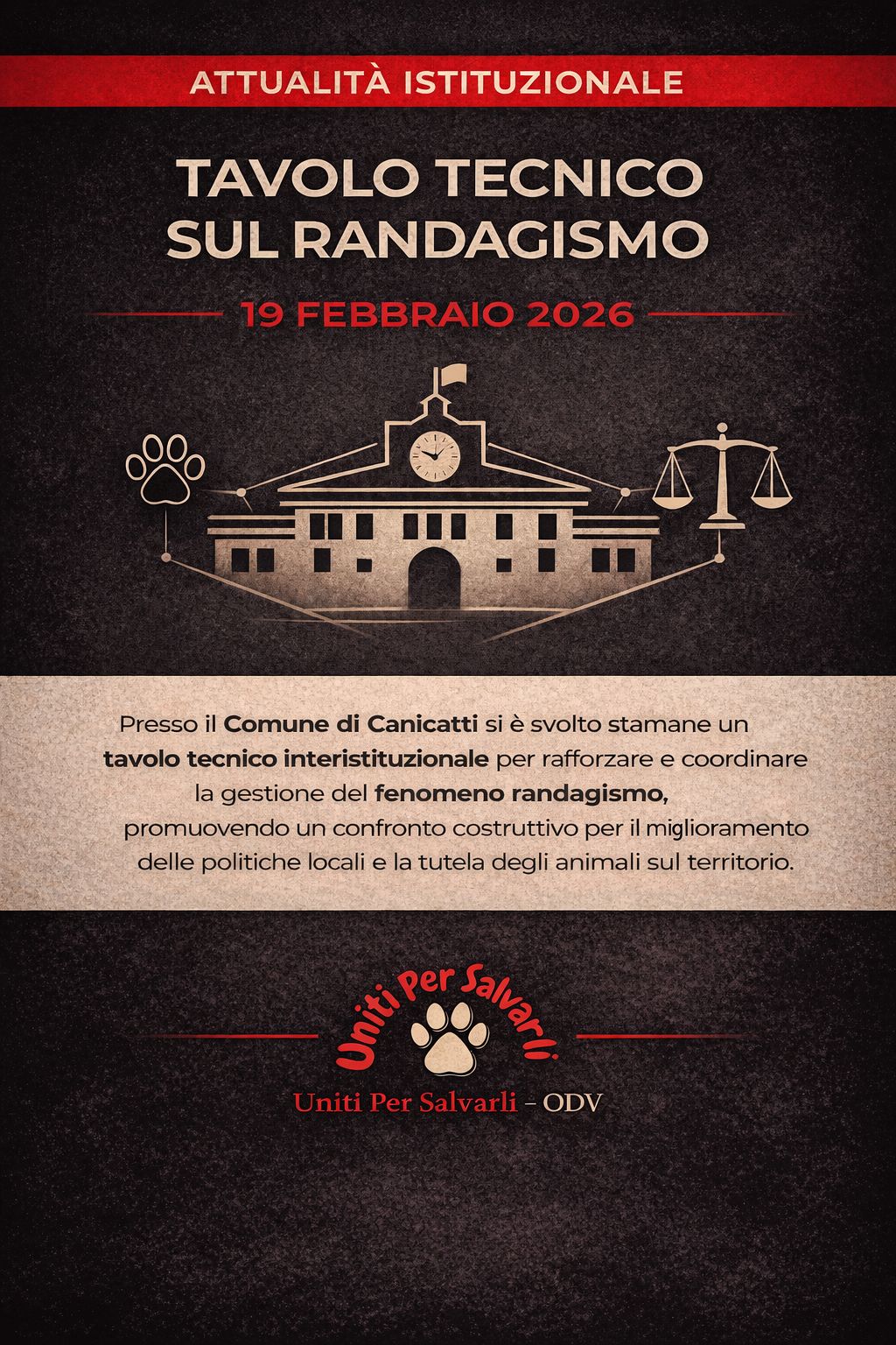 Canicattì, tavolo tecnico sul randagismo. Verso nuove misure per la tutela degli animali