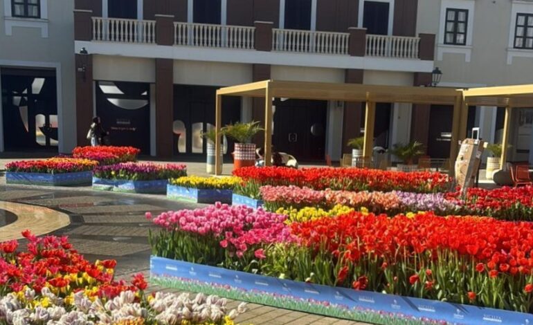 Primavera in anticipo al Sicilia Outlet Village con 100mila tulipani