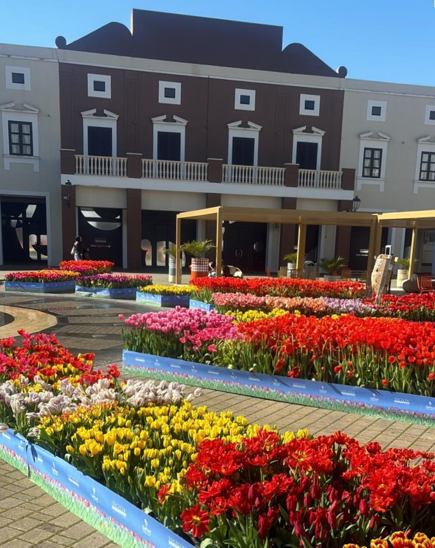 Primavera in anticipo al Sicilia Outlet Village con 100mila tulipani