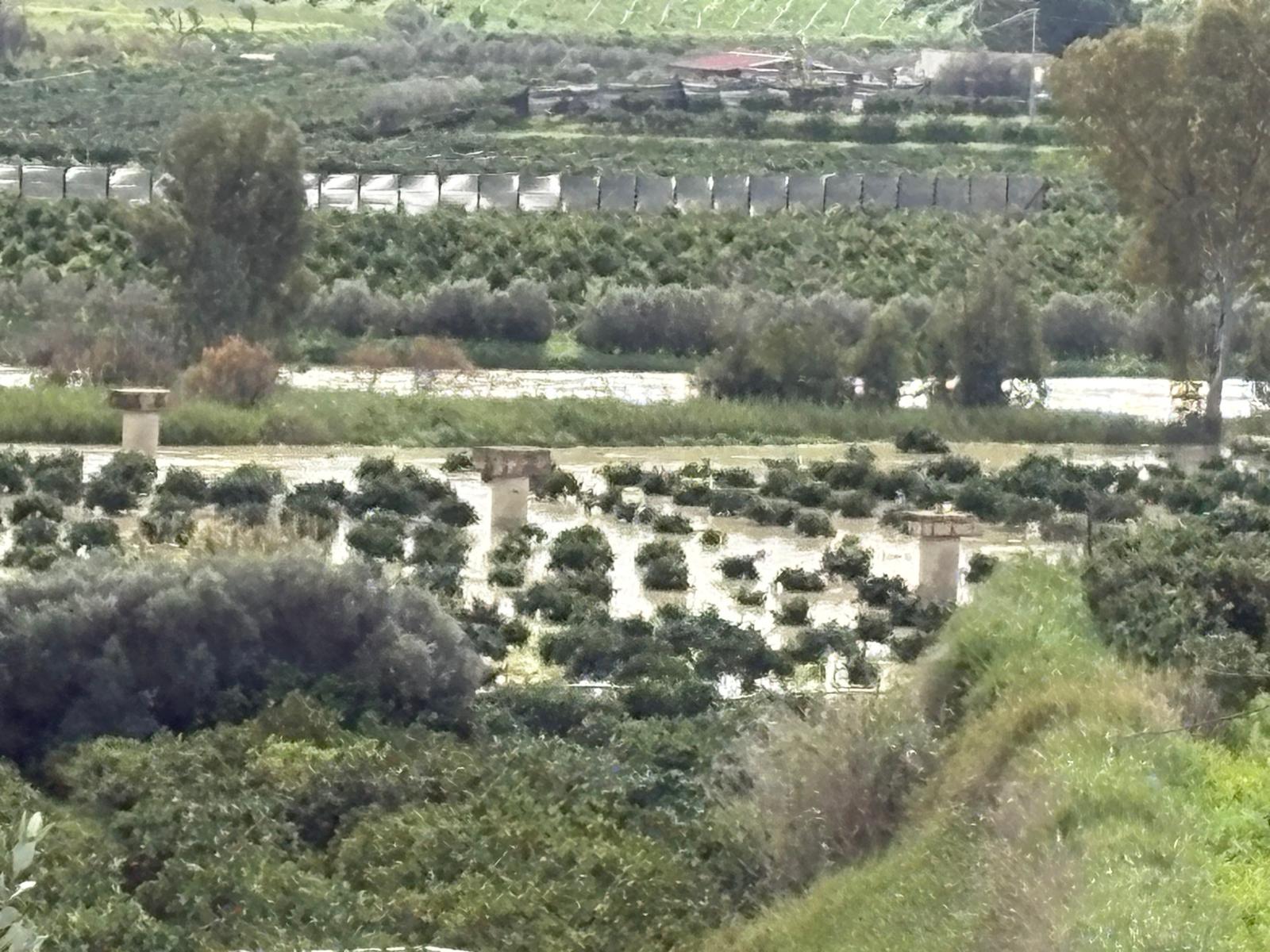 Torna a piovere ma le infrastrutture rimangono vuote, denuncia del Consorzio tutela Arancia di Ribera