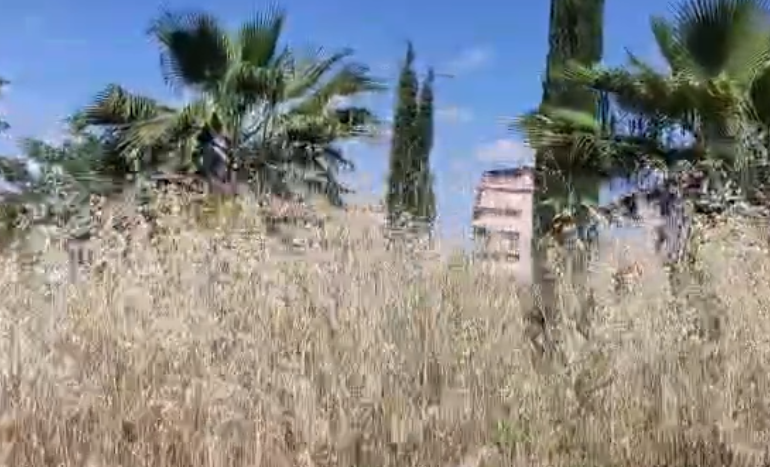 Canicattì, esterni ospedale pieni di erbacce. Rischio incendi. La denuncia dei lettori (Video)