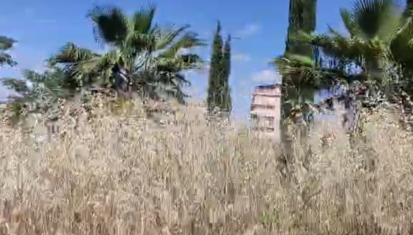 Canicattì, esterni ospedale pieni di erbacce. Rischio incendi. La denuncia dei lettori (Video)