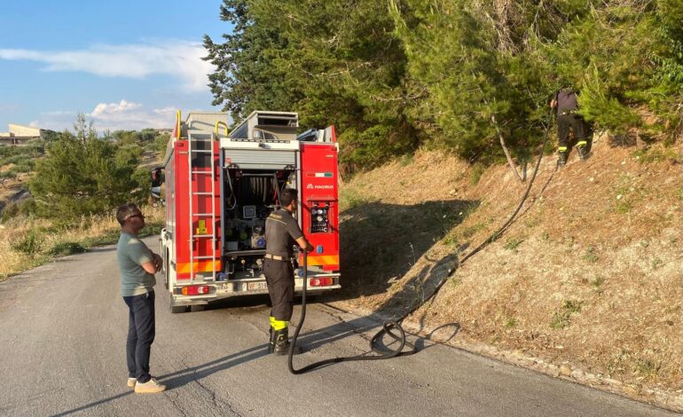 Comitini, momenti di apprensione per un violento incendio