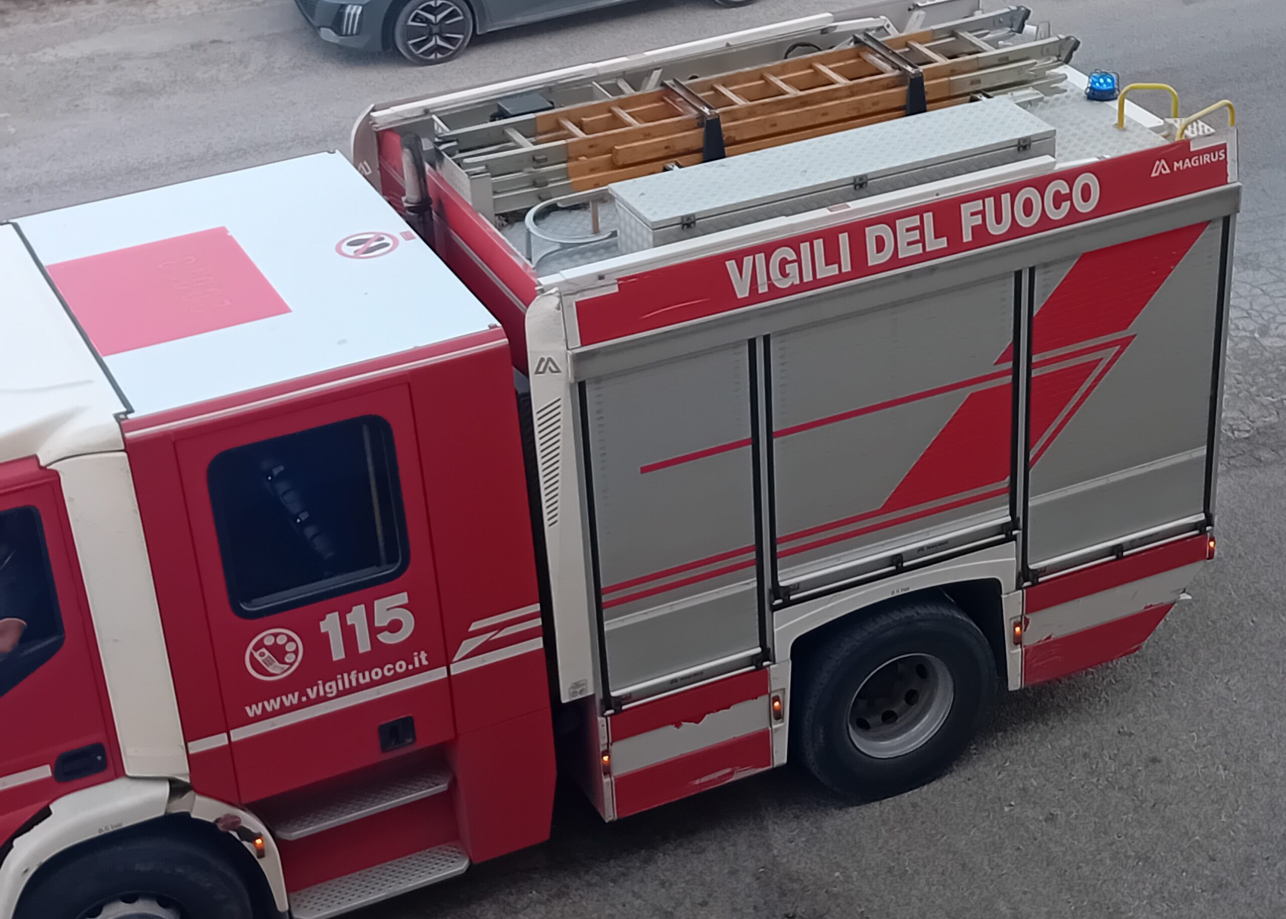 Campobello, ancora piromani in azione. Bruciate due palme