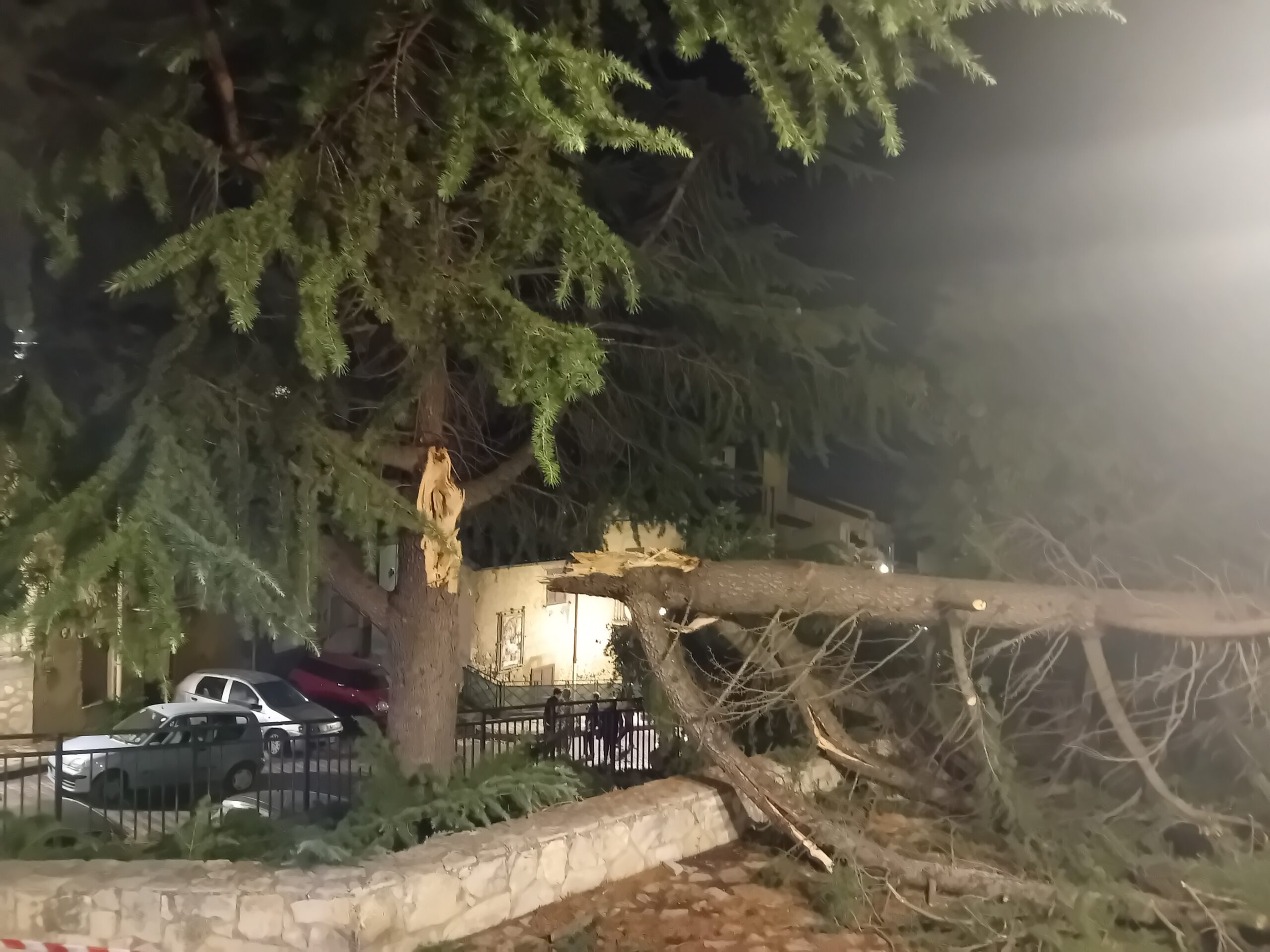 Canicattì, sfiorata la tragedia. Fulmine spezza albero secolare. Video e foto