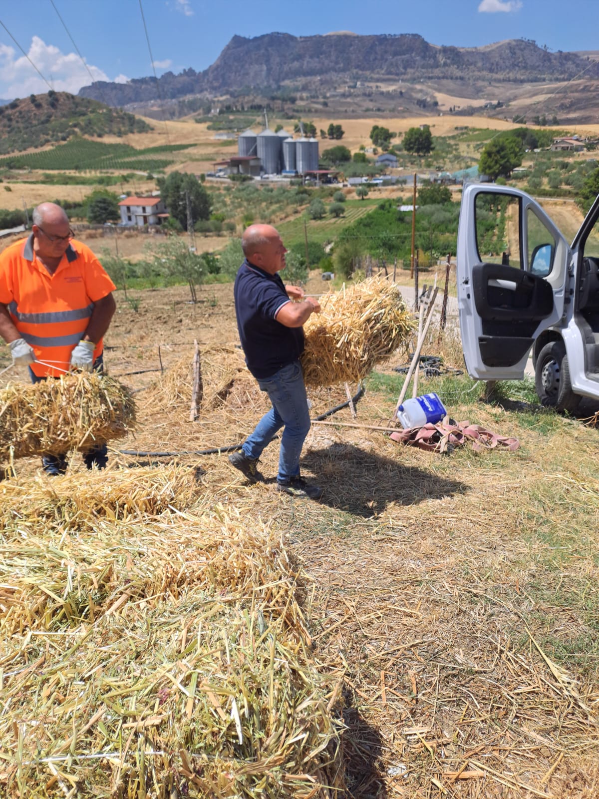 Santo Stefano, aiuti agli allevatori colpiti dagli incendi
