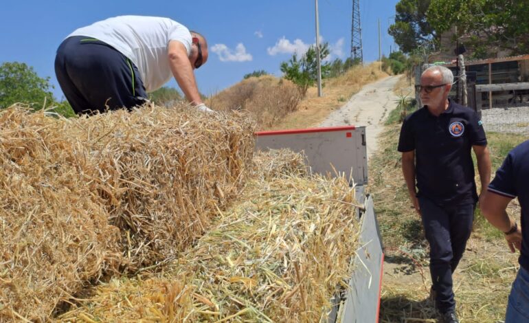 Blocco Sicilia. Le accuse di Agri.Sat : “protesta ignorata da TV di Stato”