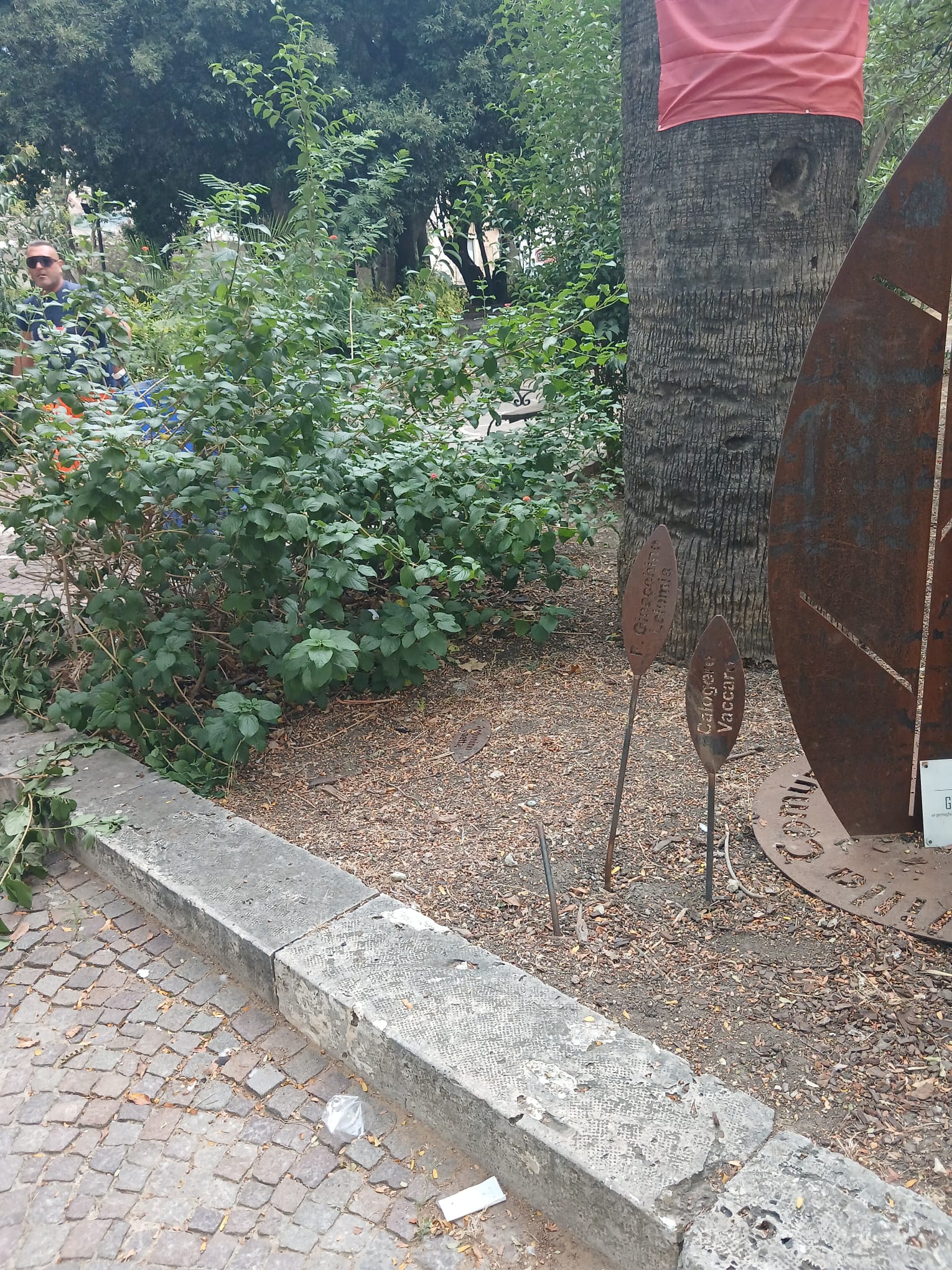 Canicattì, il danneggiamento al Giardino dei Giusti. L’Anm: “atto che offende memoria”