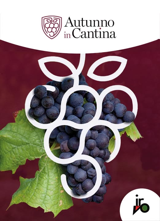 Al via sabato “Autunno in Cantina”. Alla scoperta del vino di eccellenza in Sicilia