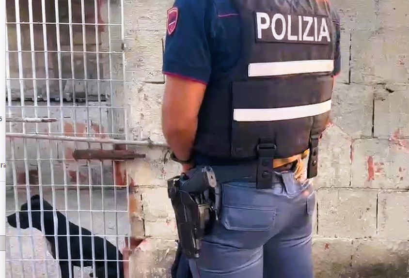 Operazione “L’Inferno dei Pitbull, WWW Sicilia: “Serve sinergia con gli Organi istituzionali competenti”